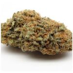 Шишки AK47 (Гидропоника, Бошка) VHQ в Зернограде Шишки AK47 (Гидропоника, Бошка) VHQ в Зернограде